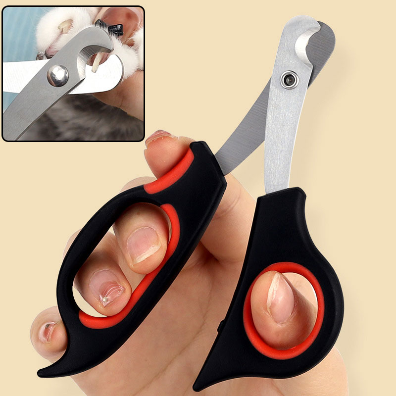 Grooming Scissors - مقص العناية بأظافر الحيوانات الأليفة، مقص